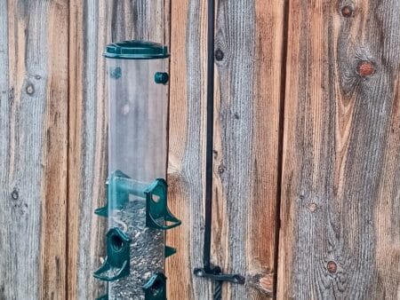 A Level: Bird Feeder Hook - May 9, 2026